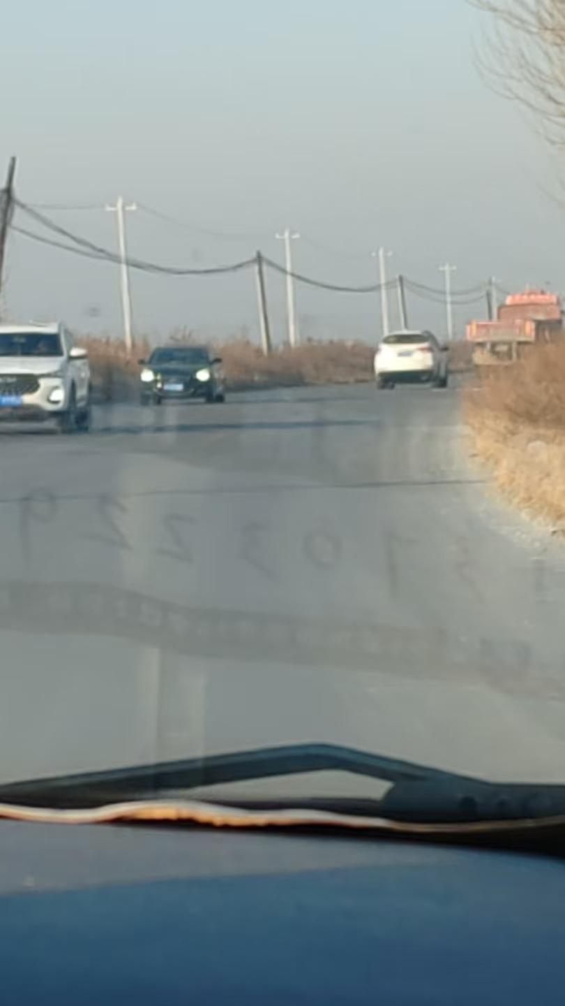 冬日生活打卡季