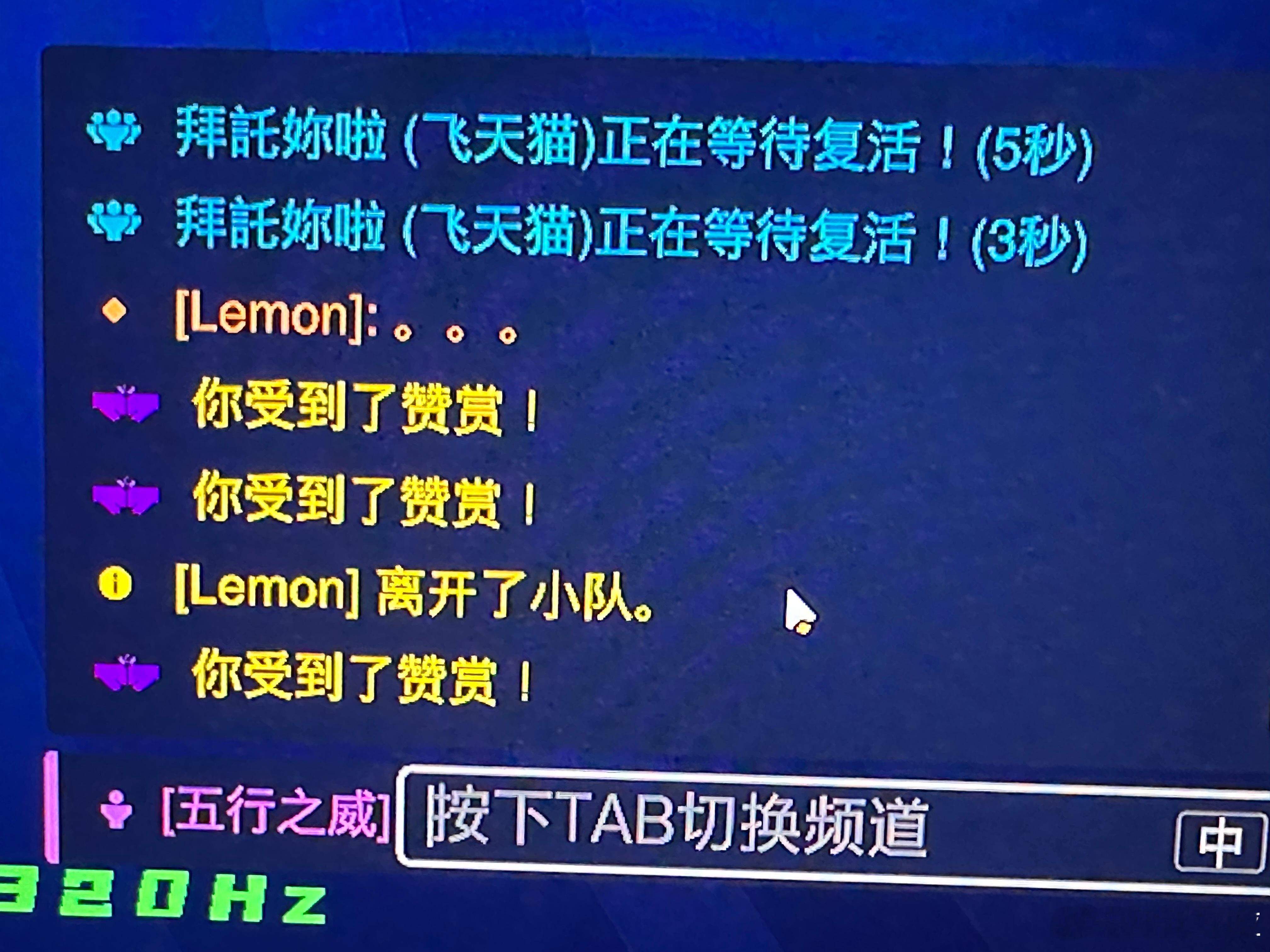 我玩猫： 