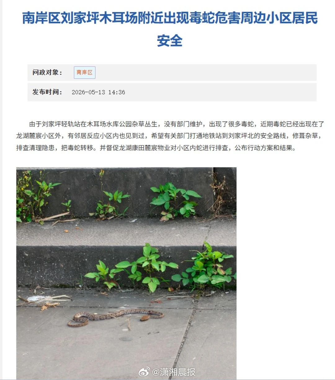 【#重庆一市区公园疑出现毒蛇#，#当地回应市区公园疑出现毒蛇#：有居民反映看到，