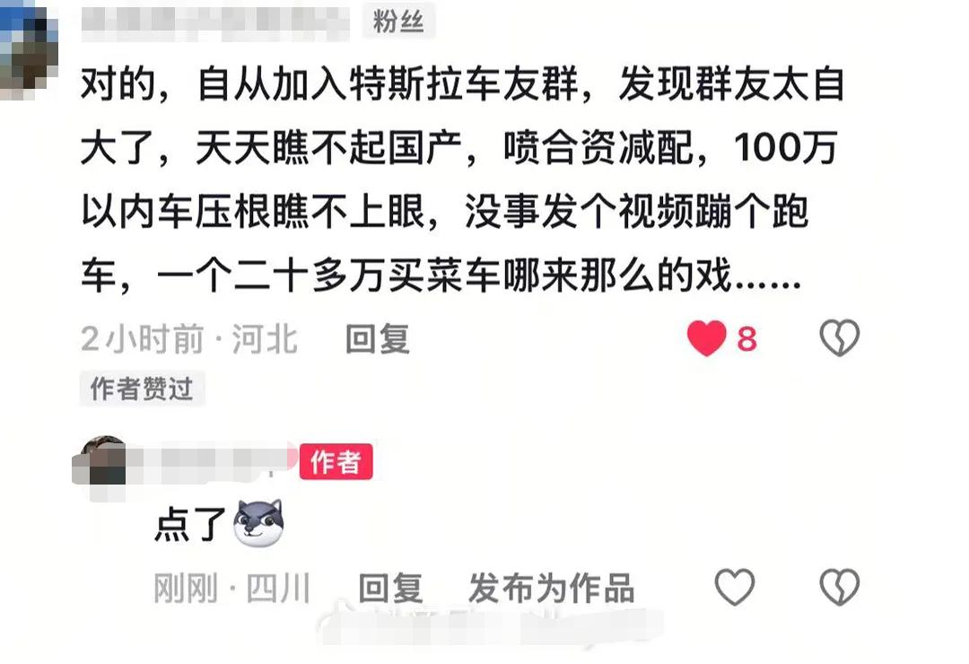 今天看到一个内容比较认同，现在真的很多鬼火在开特斯拉，很多就是首付8万，月供25