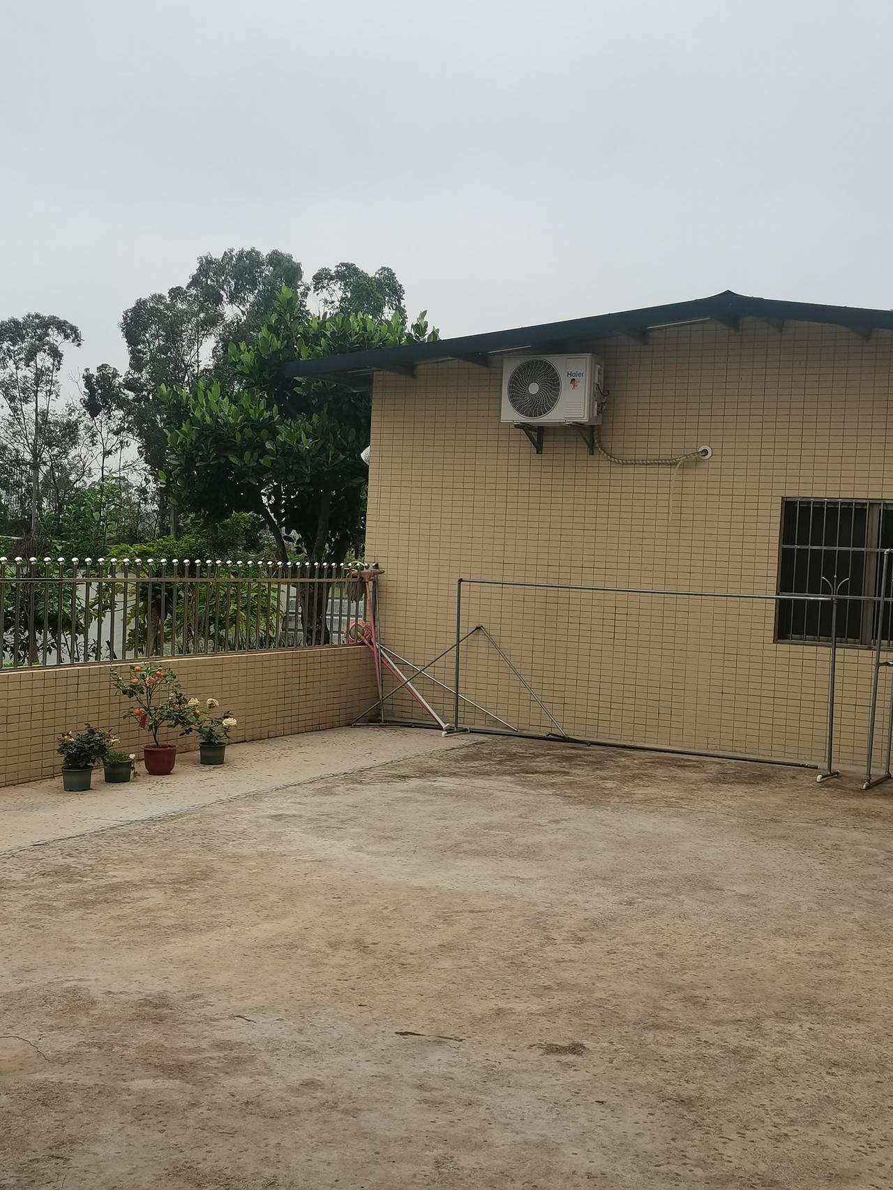 必须为自己的明智果断点赞。
下班看到天气不是很好，取消了原定下班后去买汤圆的计划