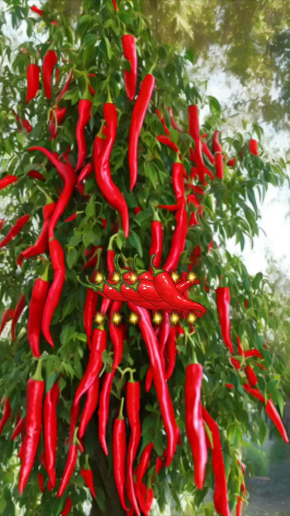 年初七一财门，一年财运一路通。开门。