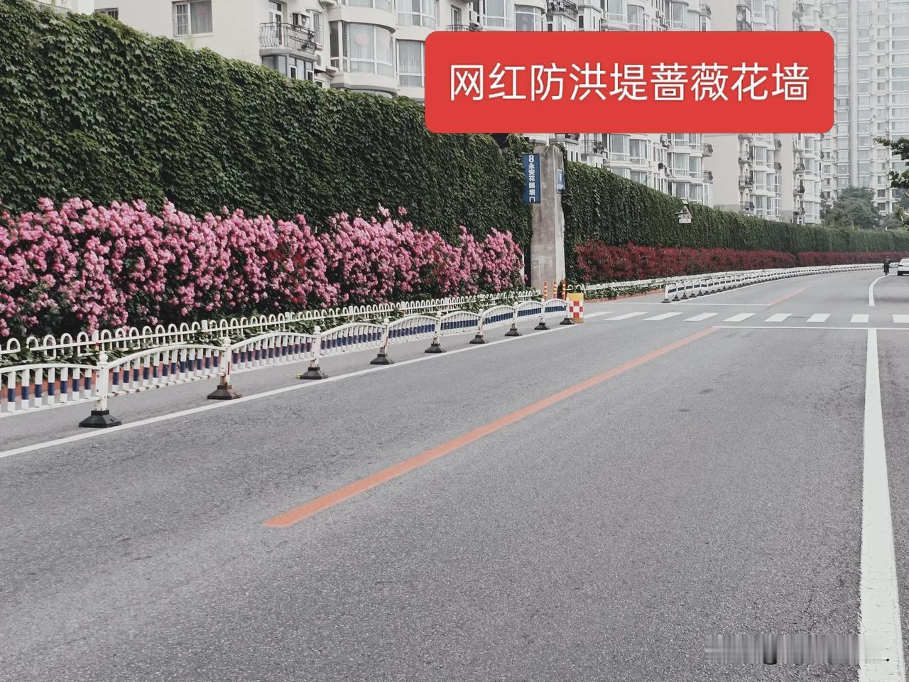 丹东江边的防洪堤因为去年的洪水总于火了一把。现在这个据说是清朝末期修建的防洪堤坝