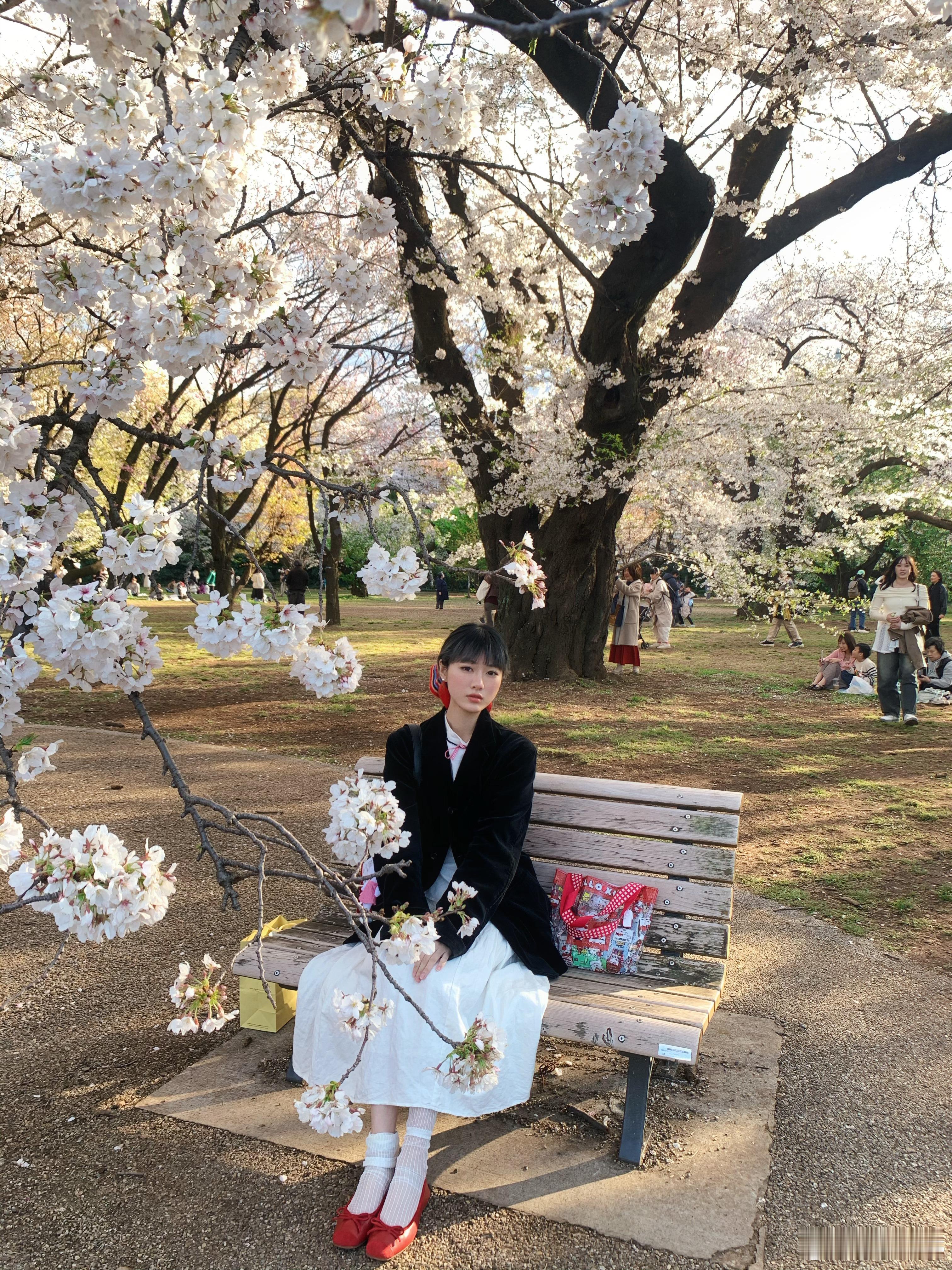 分享图片  ​​​