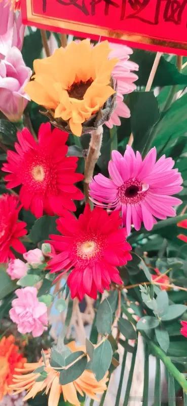 分享几个美好的祝愿，愿你能拥有！
愿你有滚烫的人生，别在懈怠中度过。当你垂垂老矣