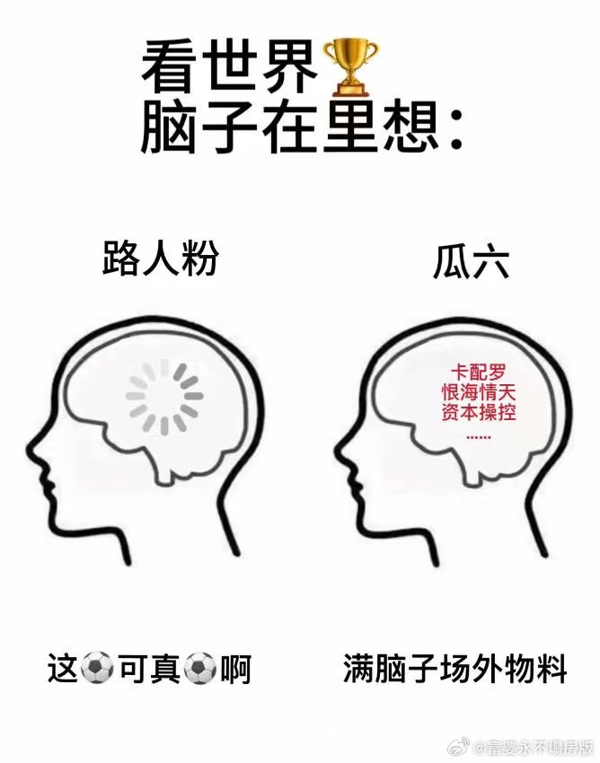 追世界杯的我belike世界杯追了22天，我的生物钟已经彻底完蛋了白天困到像猪一