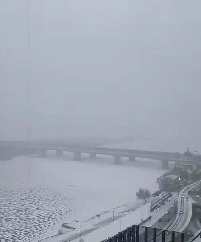 哈尔滨这场暴雪把松花江直接冻成厚玻璃，冰层两天蹿了十五厘米，采冰队连夜开机，一天