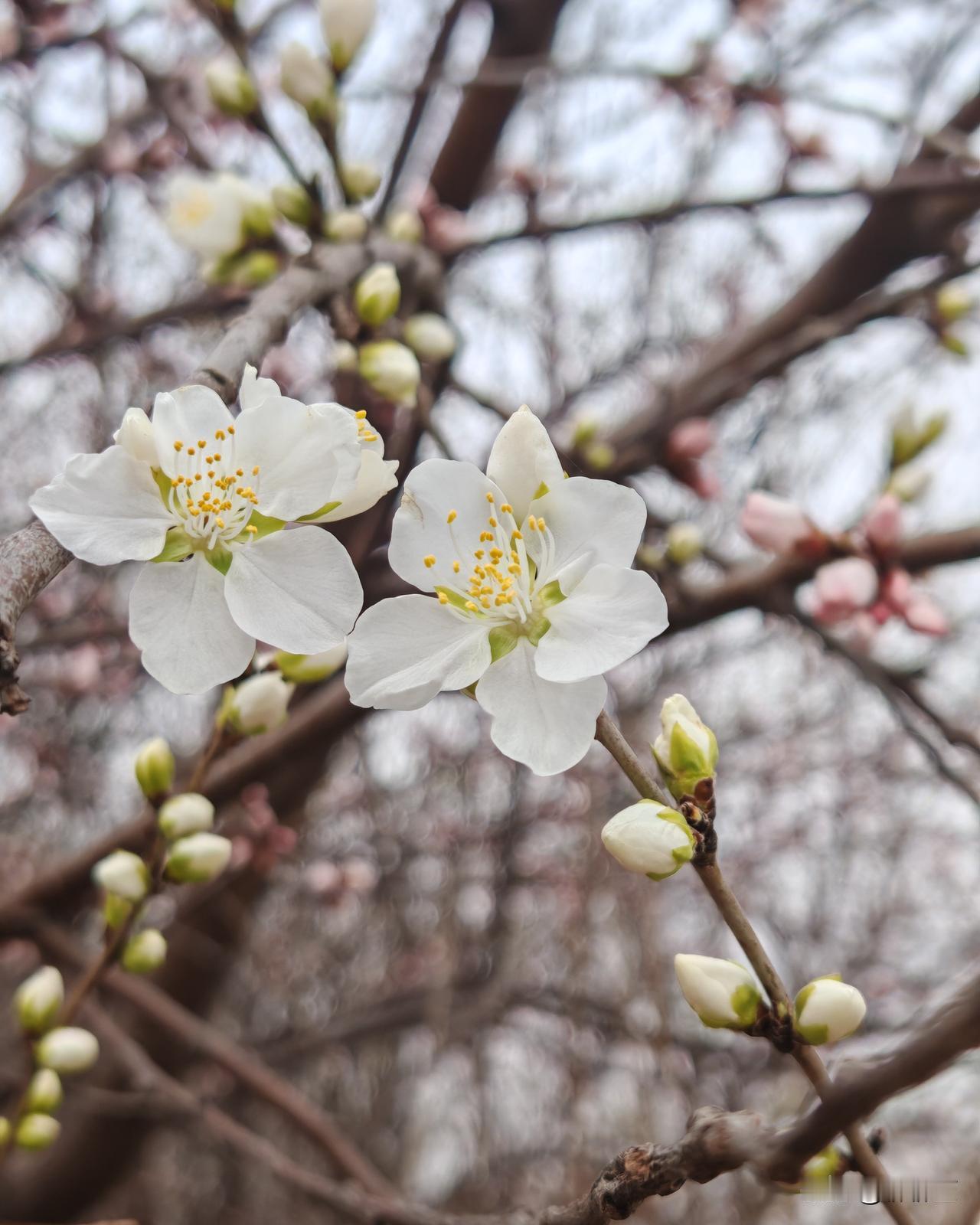 人生逍遥快乐的方法，只需做好4件事，保证你心情愉悦少进医院

第一件：放下  