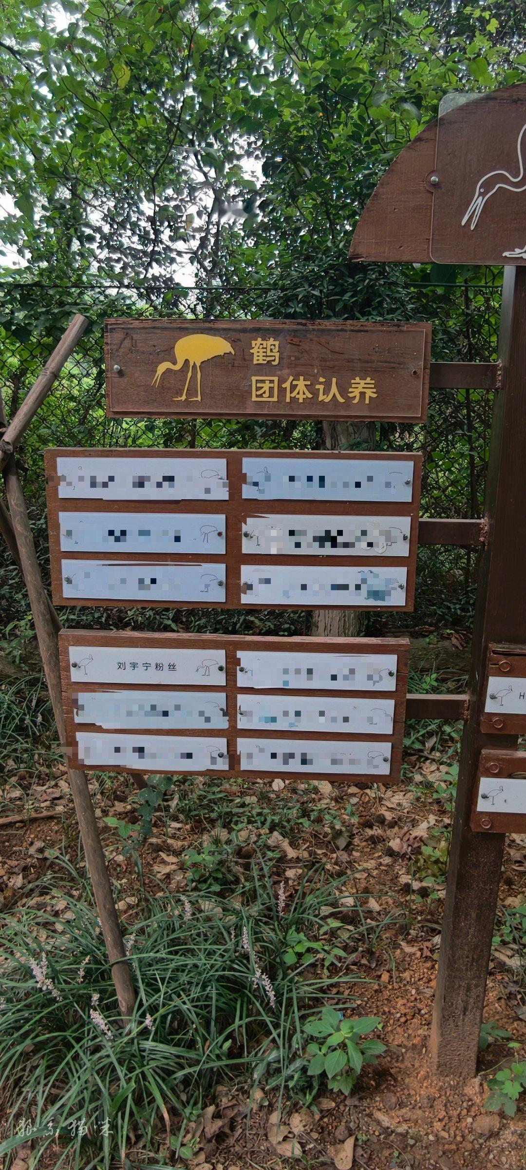 刘宇宁 那很符合这种气质了 南京·红山动物园