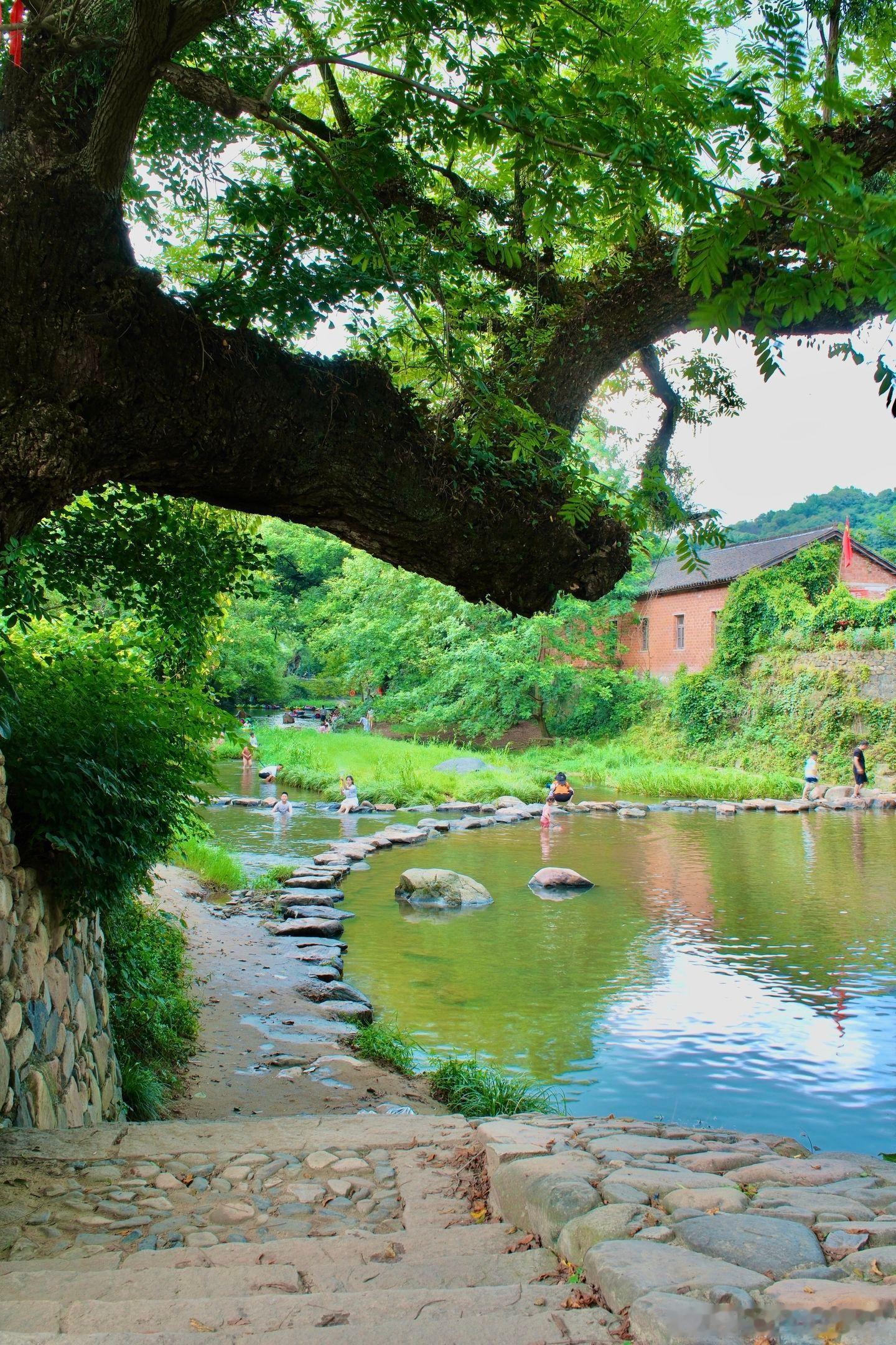 📍信阳新县西河古村落｜河南藏了座700年石头古村大别山深处的西河古村落，是河南