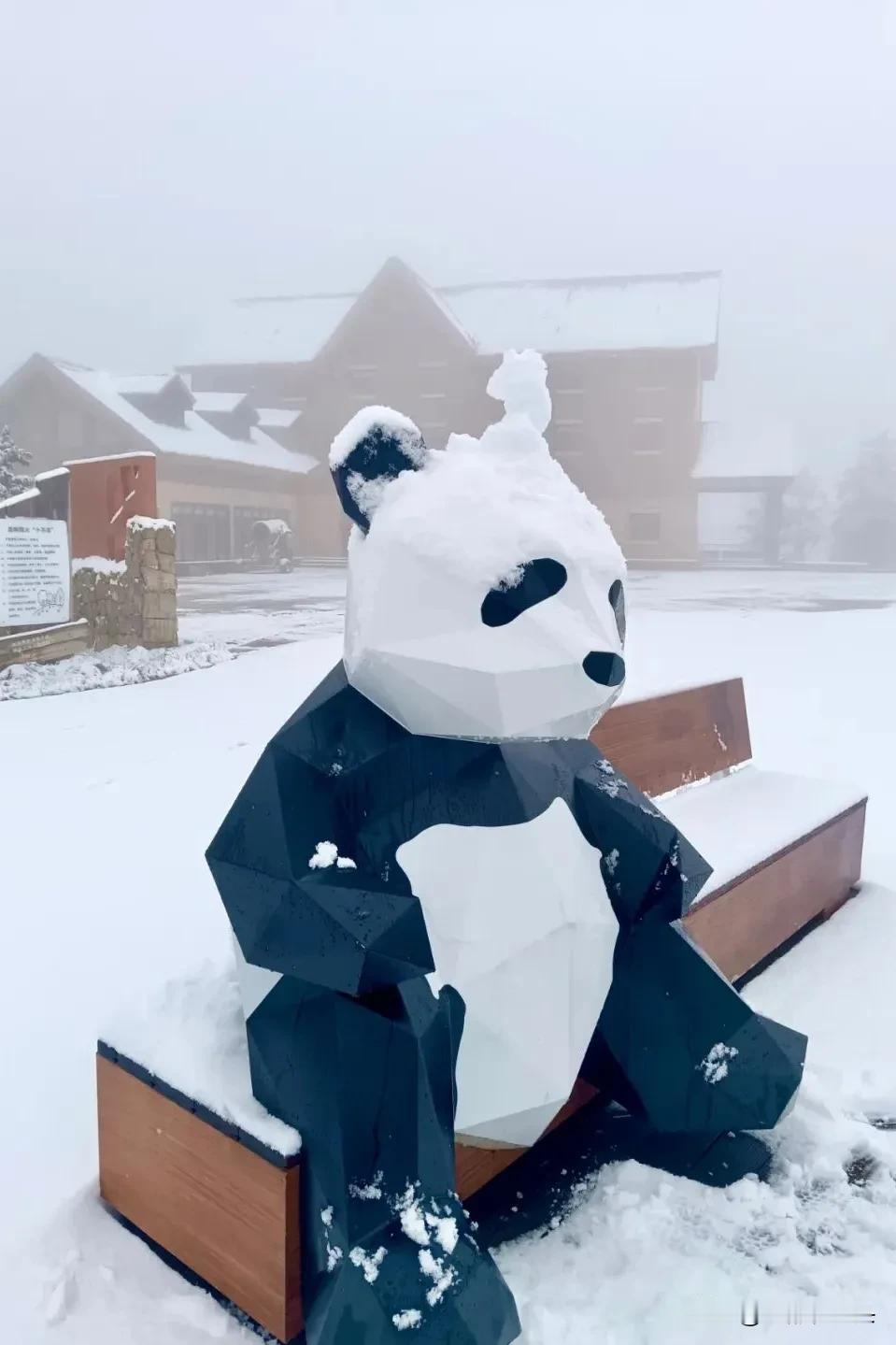 2024年成都第一场雪就这样来了？不是吹牛，也不是谣言，居然是真的！

只不过，