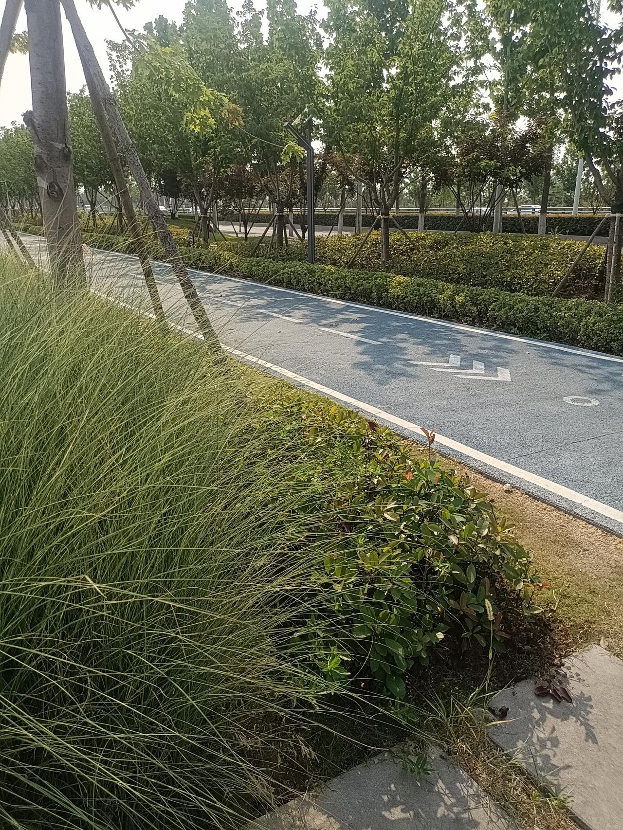 你发现没，很多人一过五十就开始自己吓自己，天天琢磨老了怎么办，病了谁伺候，钱不够