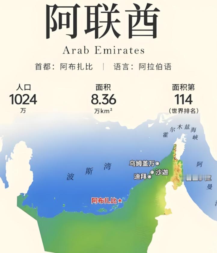 阿布扎比的王储来了。专机在北京降落的那一刻，这位酋长心里怕是不太好受。不是因为我