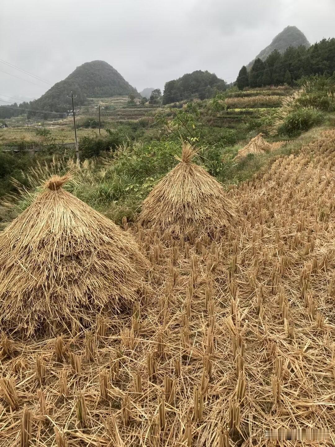 在很多农村家庭里，有一种伤害，一辈子都治愈不了。

它不是贫穷带来的苦，也不是日