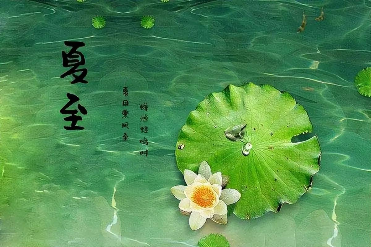 #上联：夏至绿意浓#
夏至，太阳到达北回归线，据说，今天是北半球白昼最长的一天。