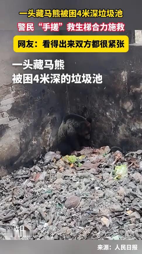 绝不行。