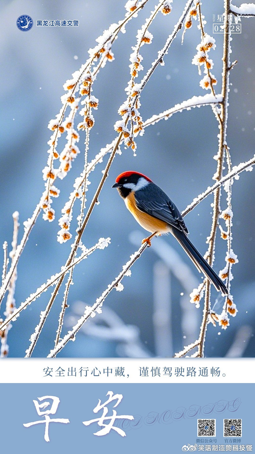 早安 安全出行心中藏 谨慎驾驶路通畅。早安早安高小黑 （