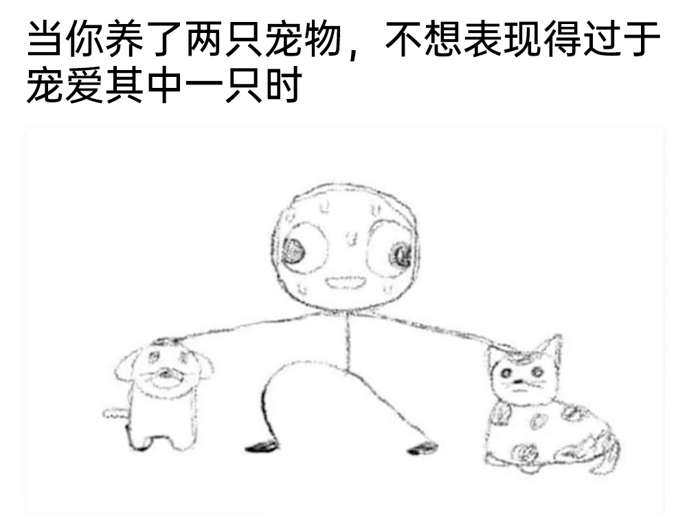 我就这样一碗水端平🥣memes * 