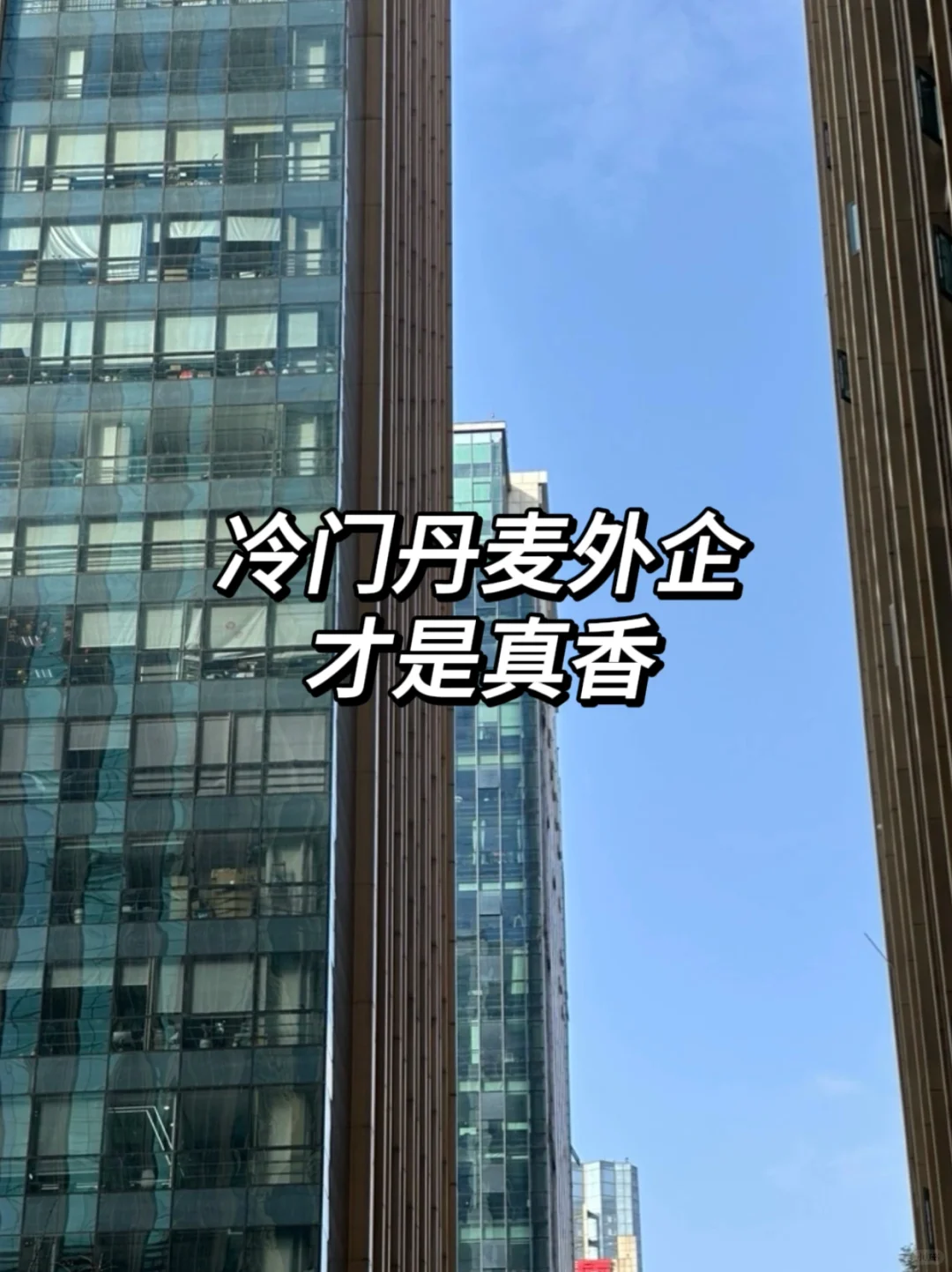 真心建议大家，去试试这些小众的丹麦外企