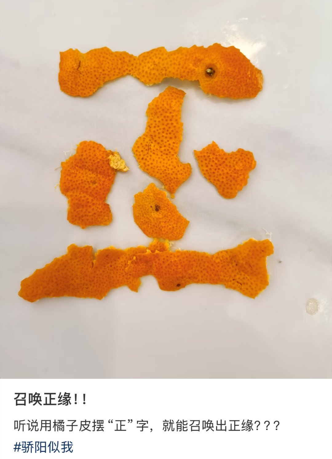 全网都在复刻橘子皮正缘骄阳似我 笑不活了！现在网上的橘子皮比橘子还多，全网跟风聂