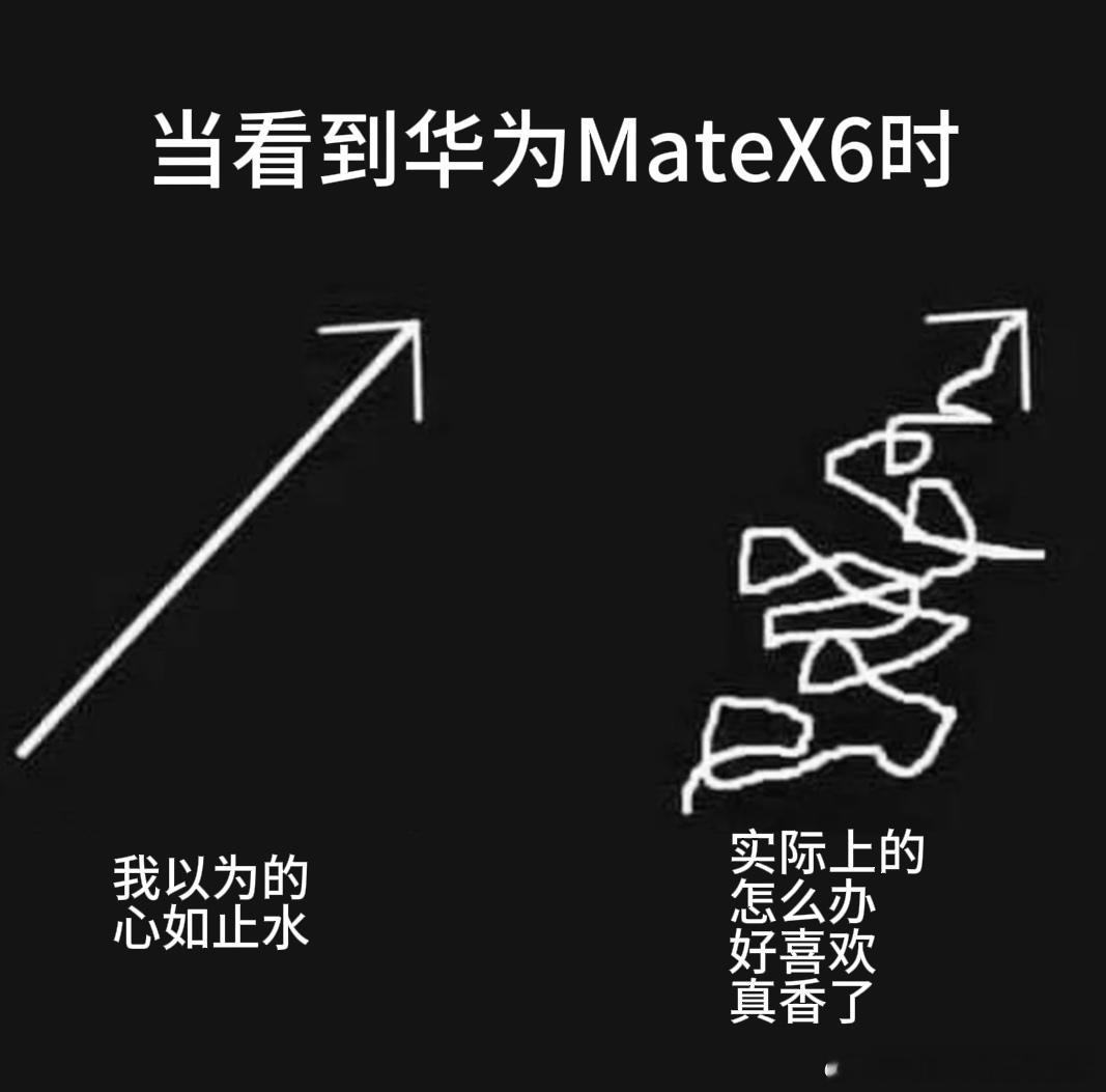 太好了是 华为MateX6到手即可升级原生鸿蒙  ，我们这次可以真香了！其实一直