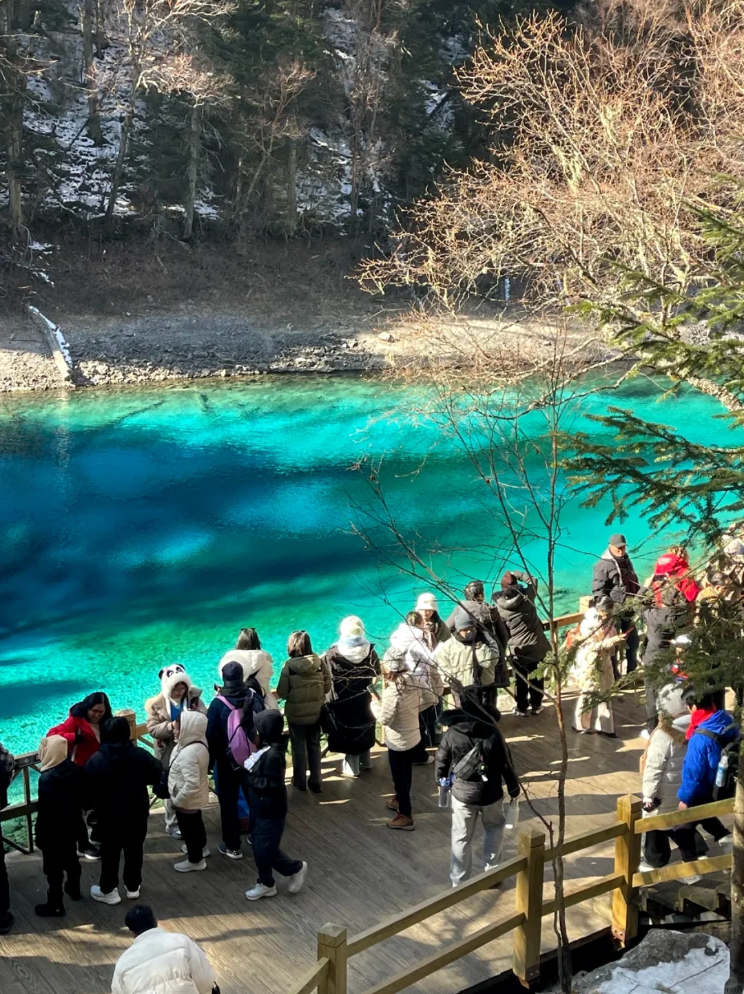 12.26📍九寨沟崩溃已回，😭总结10条避坑经验