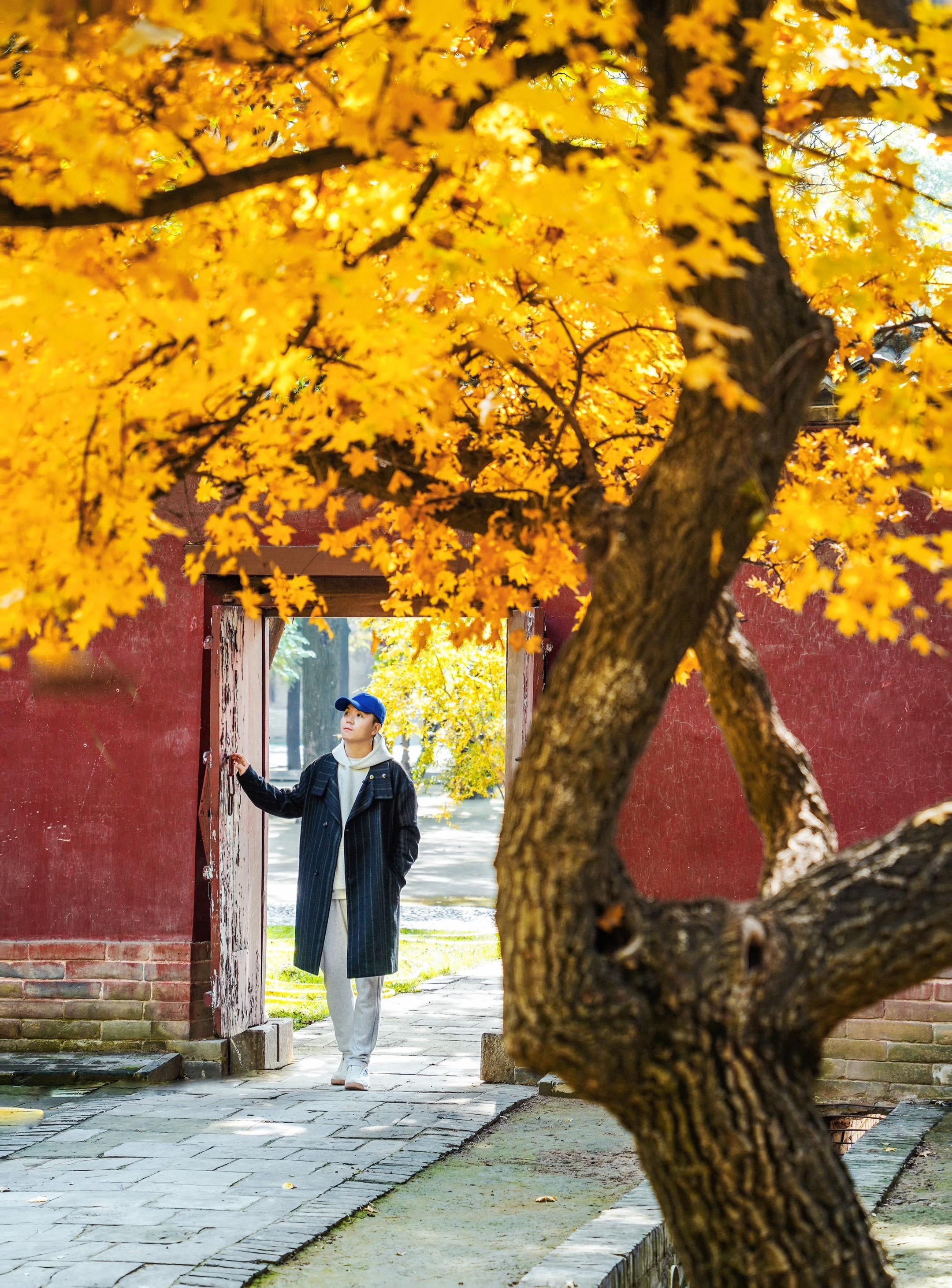 国宝第一市的山西运城🍂秋天到底有多美！作为一个古建爱好者 一年去过好...