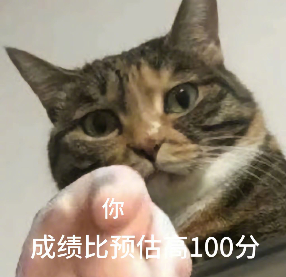 祝最近考试的你 ​​​