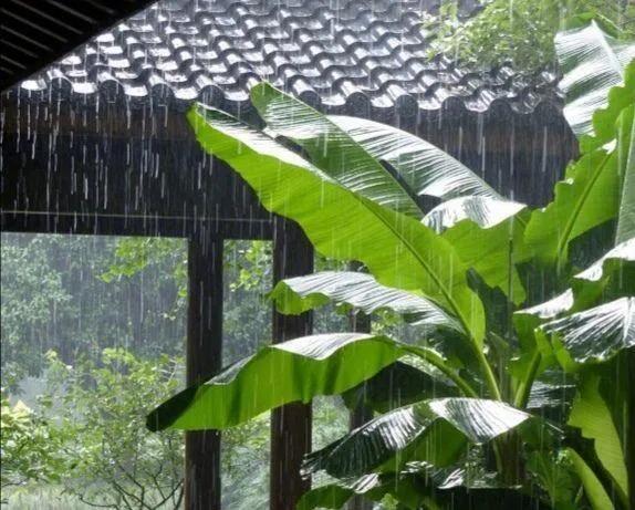 《七律-夏至闲吟》
   凉爽难逢夏至天，
   赏荷消暑两悠然。
   浅斟未