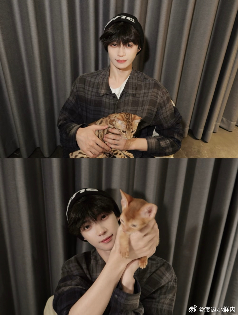 梓渝终于养小猫啦 梓渝养小猫咪了！！！而且是两只呜呜呜羡慕了！这个真羡慕了欢迎两