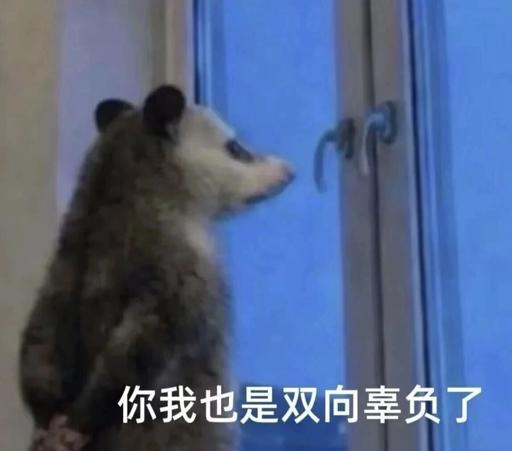 【朋友，你爱看的“猫和老鼠”来了~】谁给鼠馒头，谁给鼠拳头，鼠会记得清清楚楚…(