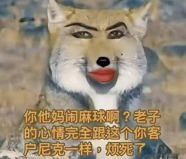 分享图片 ​​​