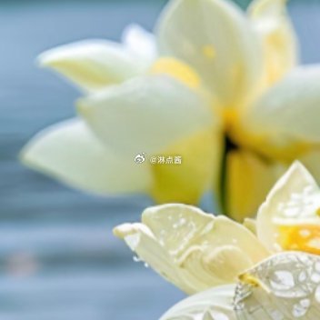 每日一善 每日一善 阳光信用 偶尔一些很努力也不被重视，很辛苦却得不到回答的时刻