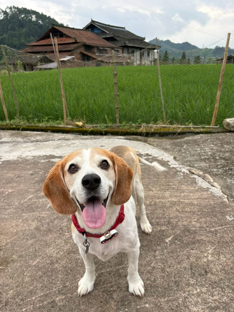 都吃点～ 