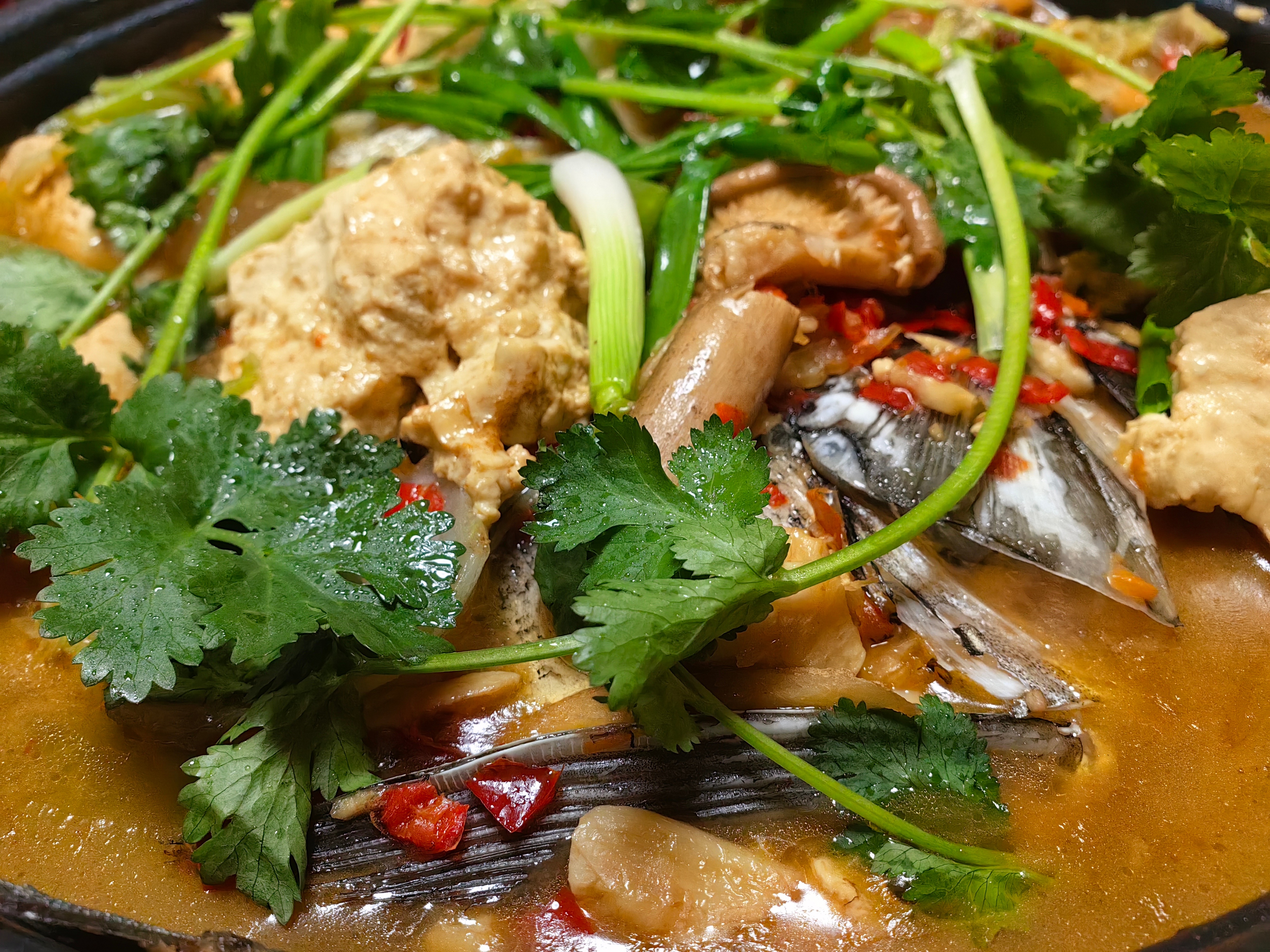 家常菜[超话] 今晚的晚餐，炖了两个大鱼头。太香了。 ​​​