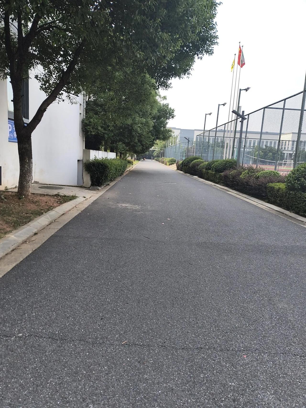 每天都要走好长的一条路，不知道长年累积下来，会不会瘦一点