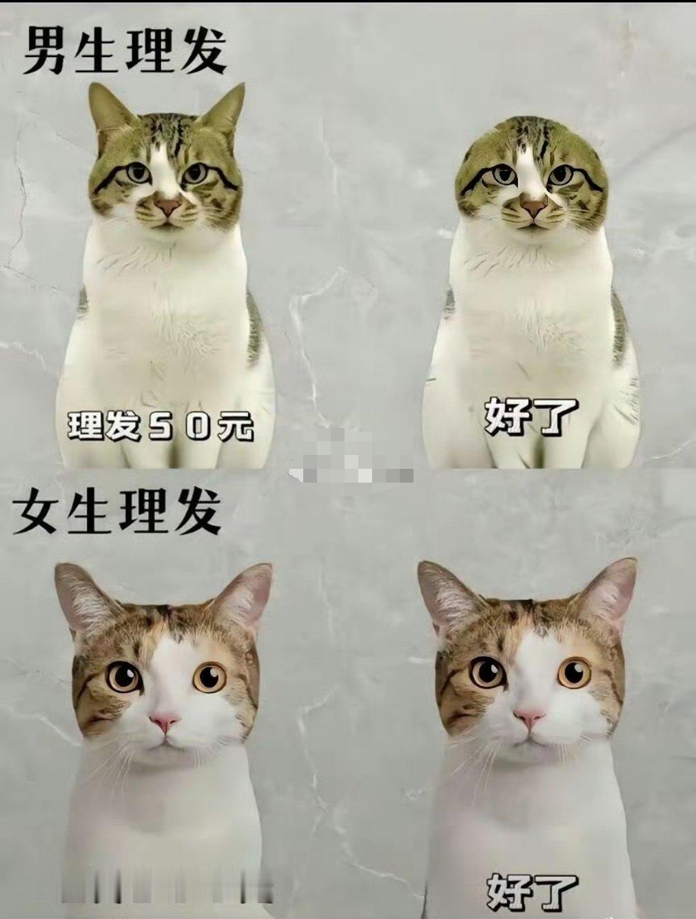男生理发vs女生理发 