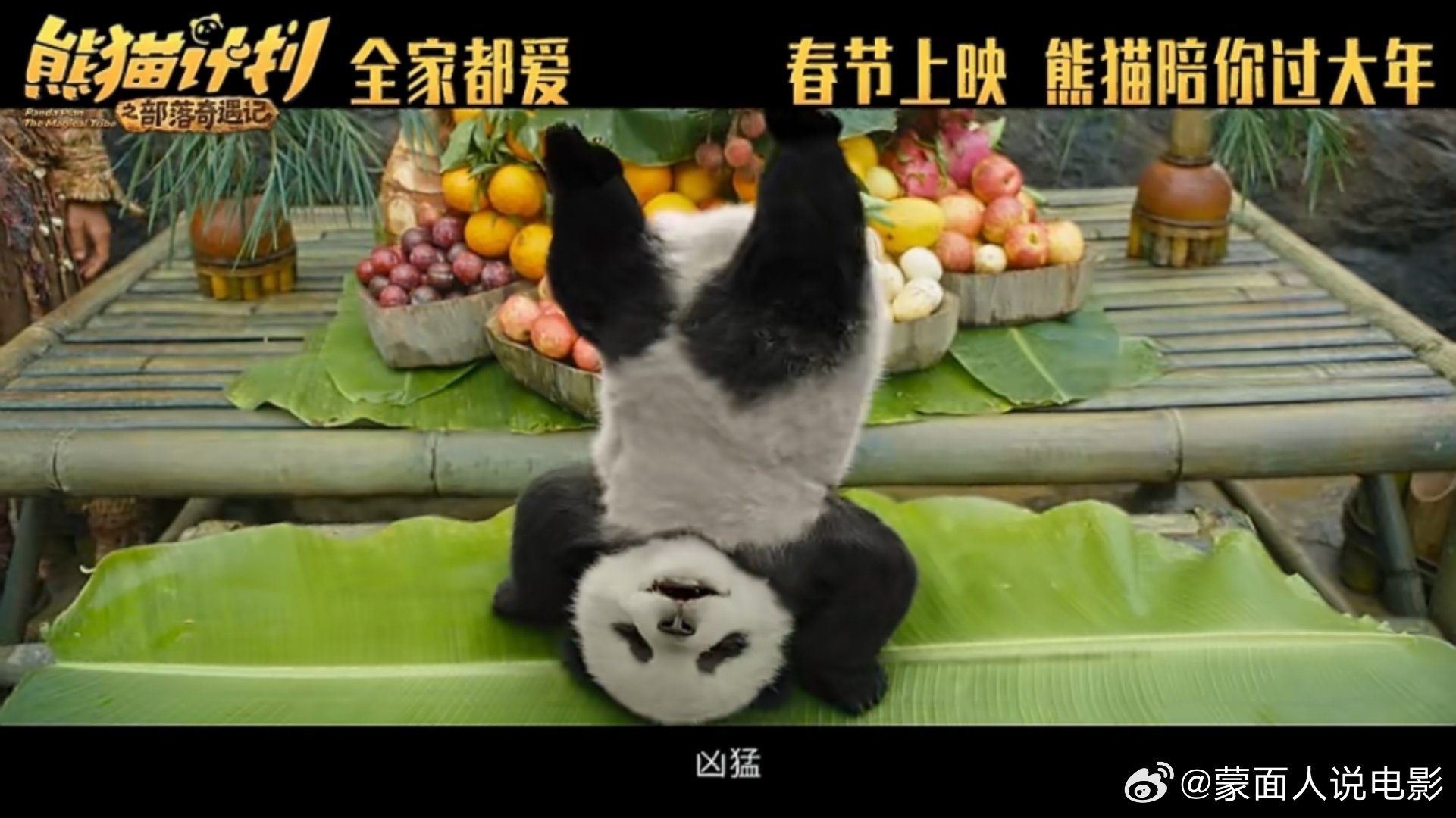 电影熊猫计划之部落奇遇记被熊猫计划唤起的心软软瞬间电影熊猫计划之部落奇遇记 【当