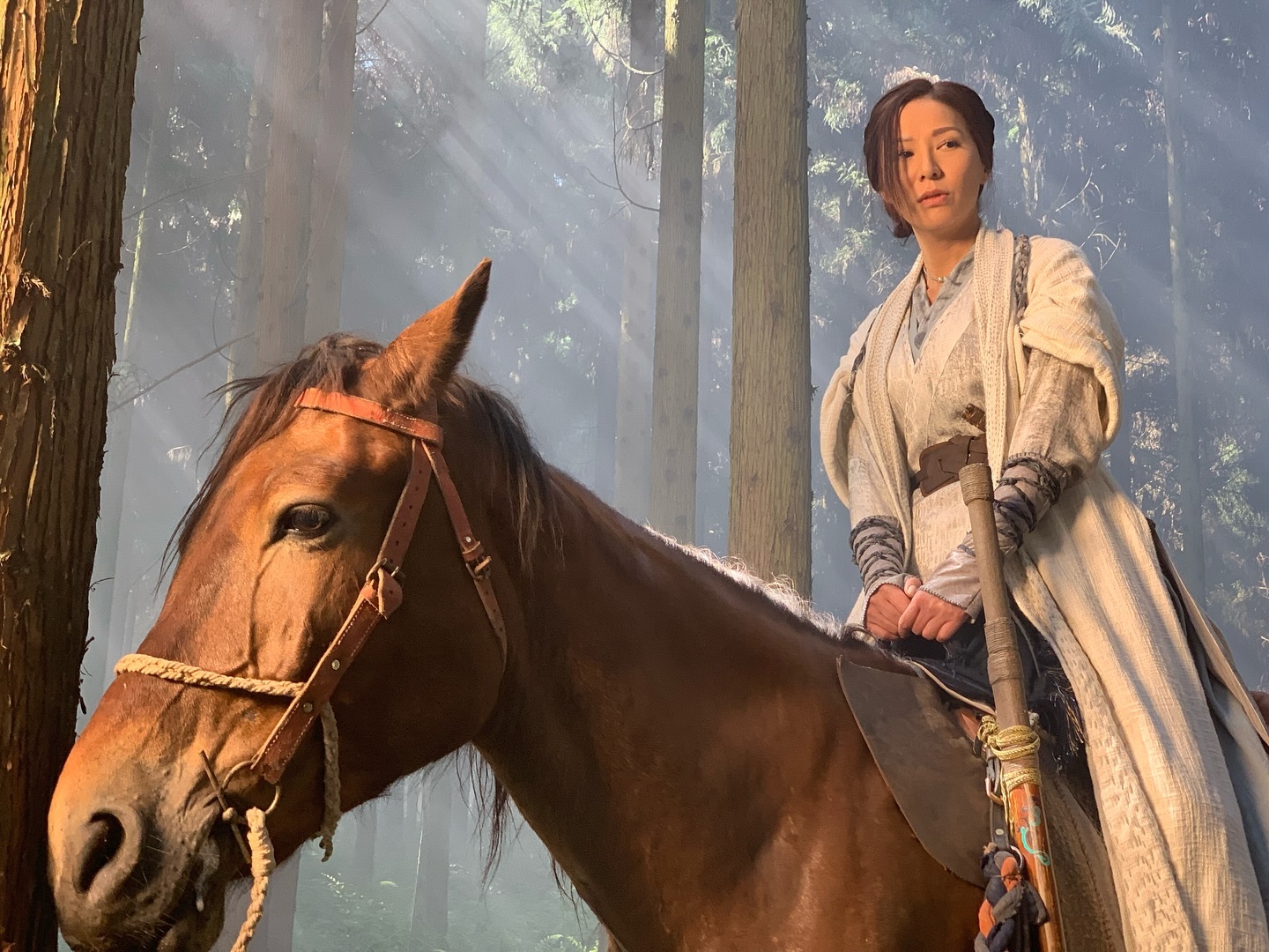 善柔，当年的意难平啊，希望这次电影版能有一个好的结局。跨年电影愿