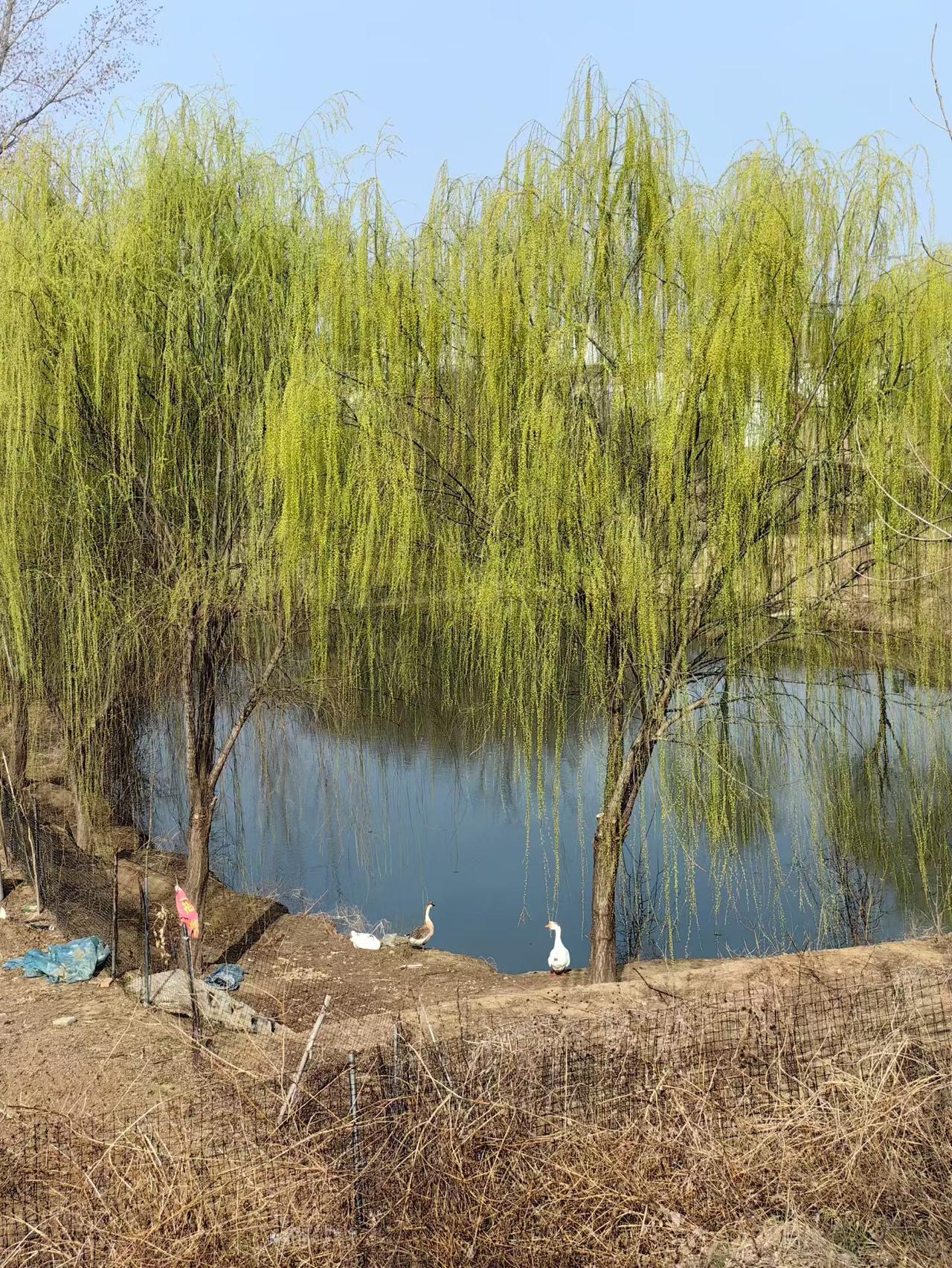 午间杂谈。人在不同的位置，就有不同的视角，人拥有不同的财富量，也会生发不同的认知