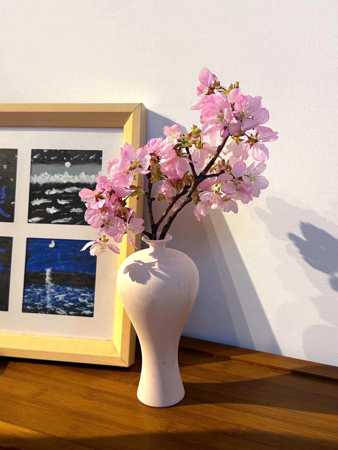 在深圳（荷兰花卉小镇）花五块钱买的花，没想到在深圳花5块钱就能买到这样的幸福感[