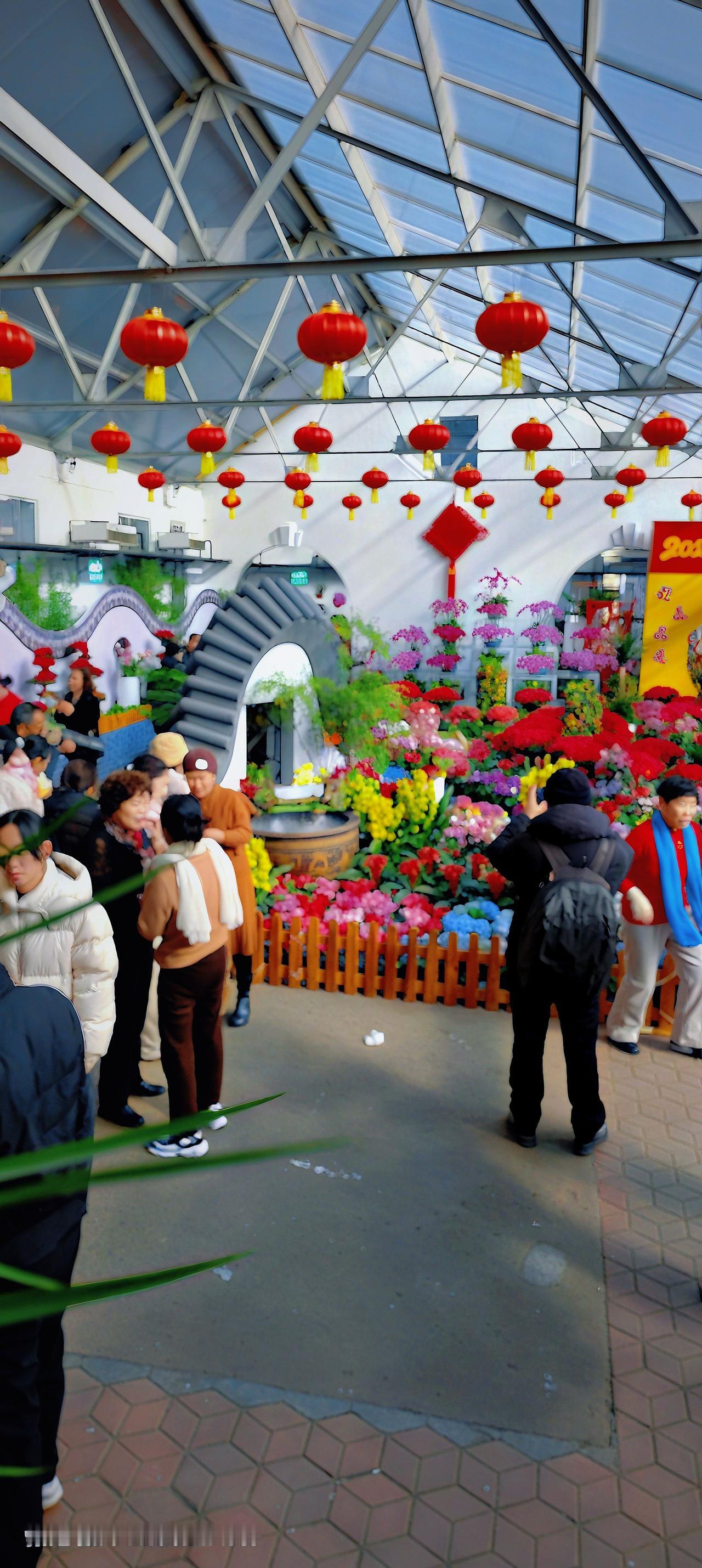 吉林市江南公园花香正浓时