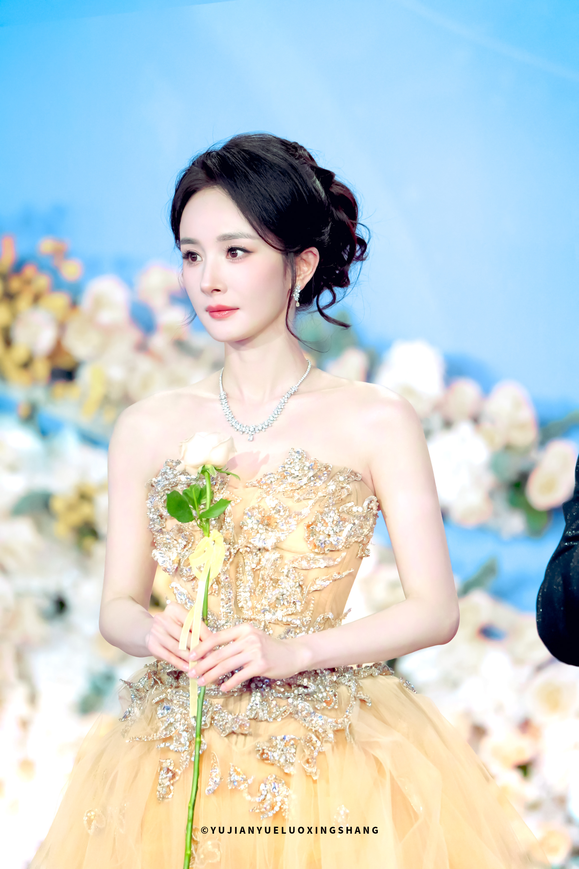 ▪ 永远做你的观众 ｜ 杨幂全肯定 💐杨幂 ｜杨幂百花奖24票
