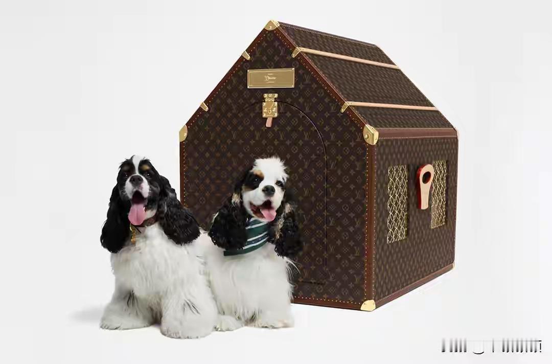 浙江网友炸锅！LV天价狗窝标价50万秒光，背后真相扎心：你的焦虑，正被奢侈品做成