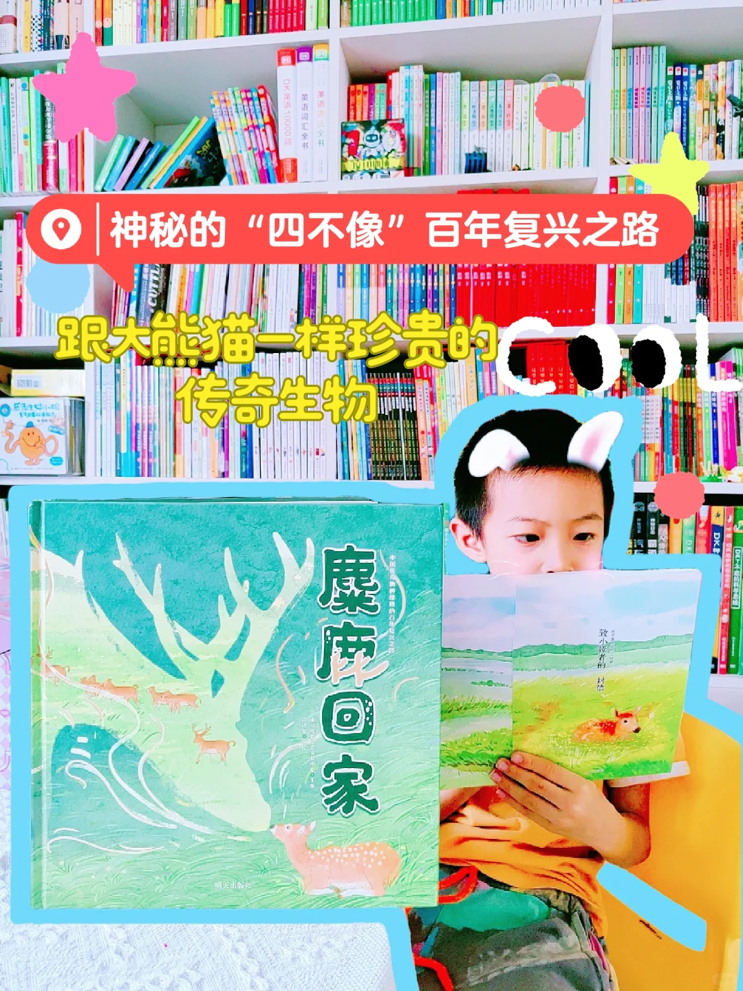 国宝麋鹿|从消失到回家，它们走了近百年