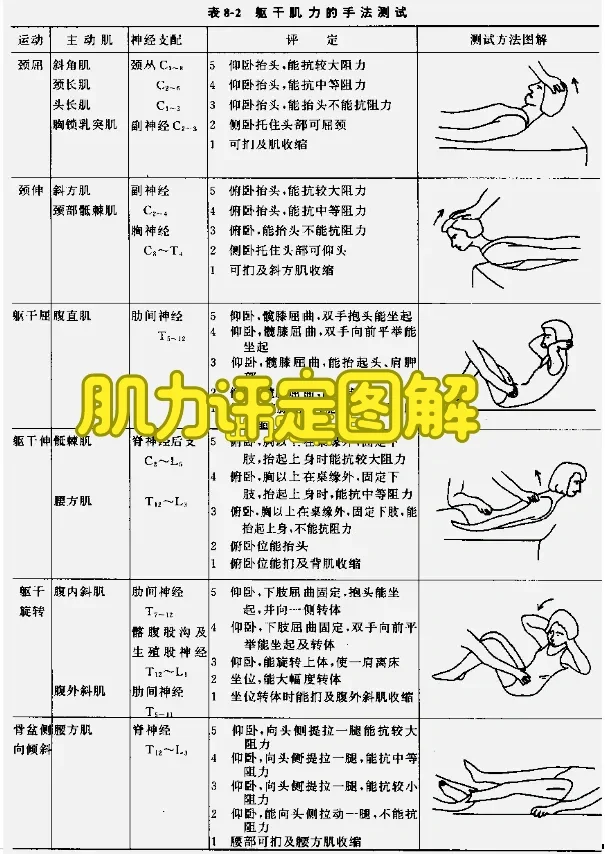 徒手肌力评定图解