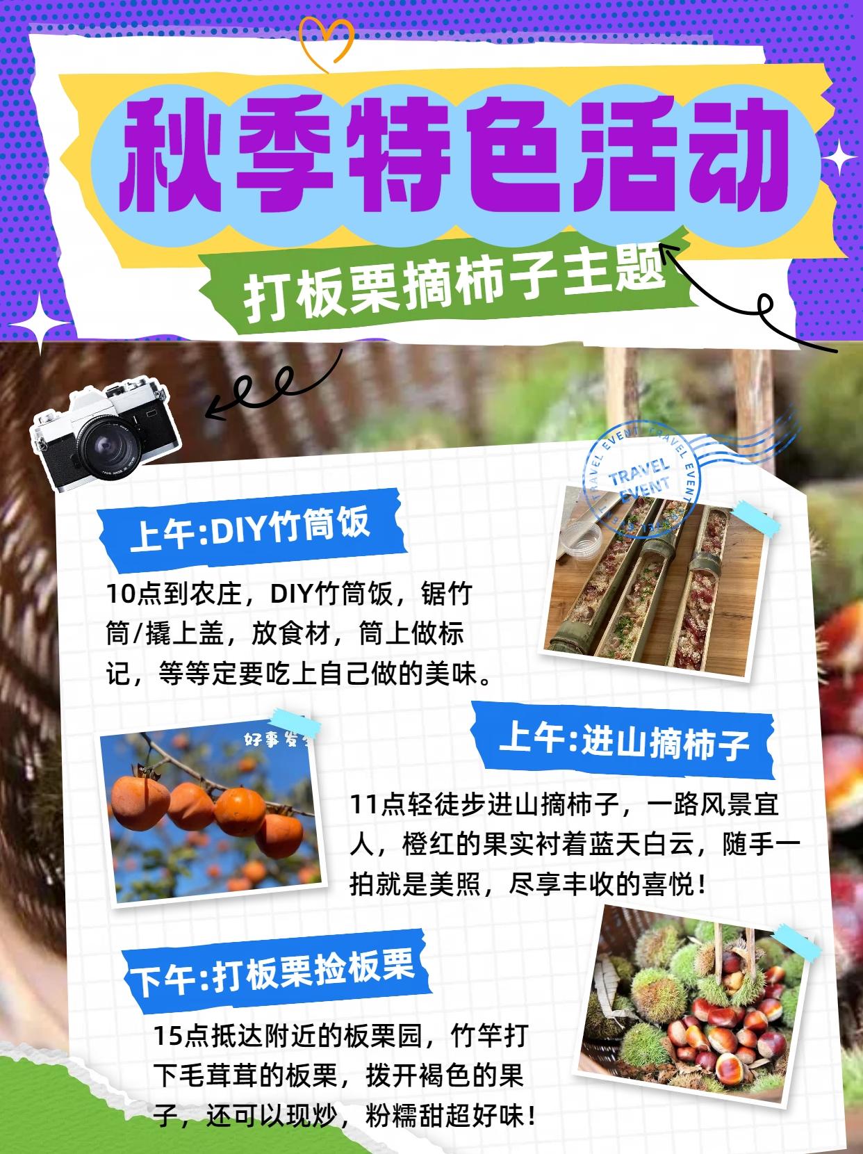 心游户外特别推荐~摘柿子打板栗亲子活动开启！
从化秋季限定！摘柿打栗主题一日游！