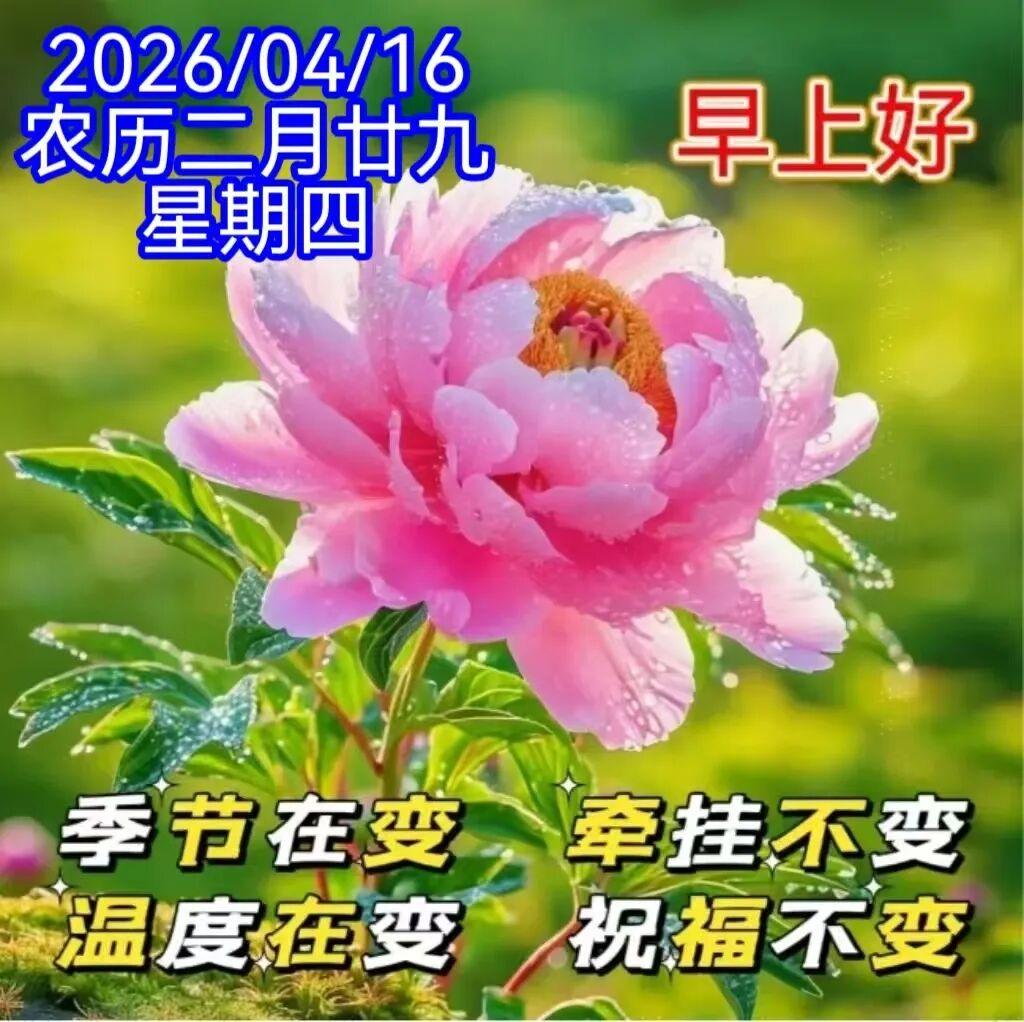 一江春水向东流，记住快乐丢了愁。老来万事随他去，只把健康记心头。能唱能跳能旅游，