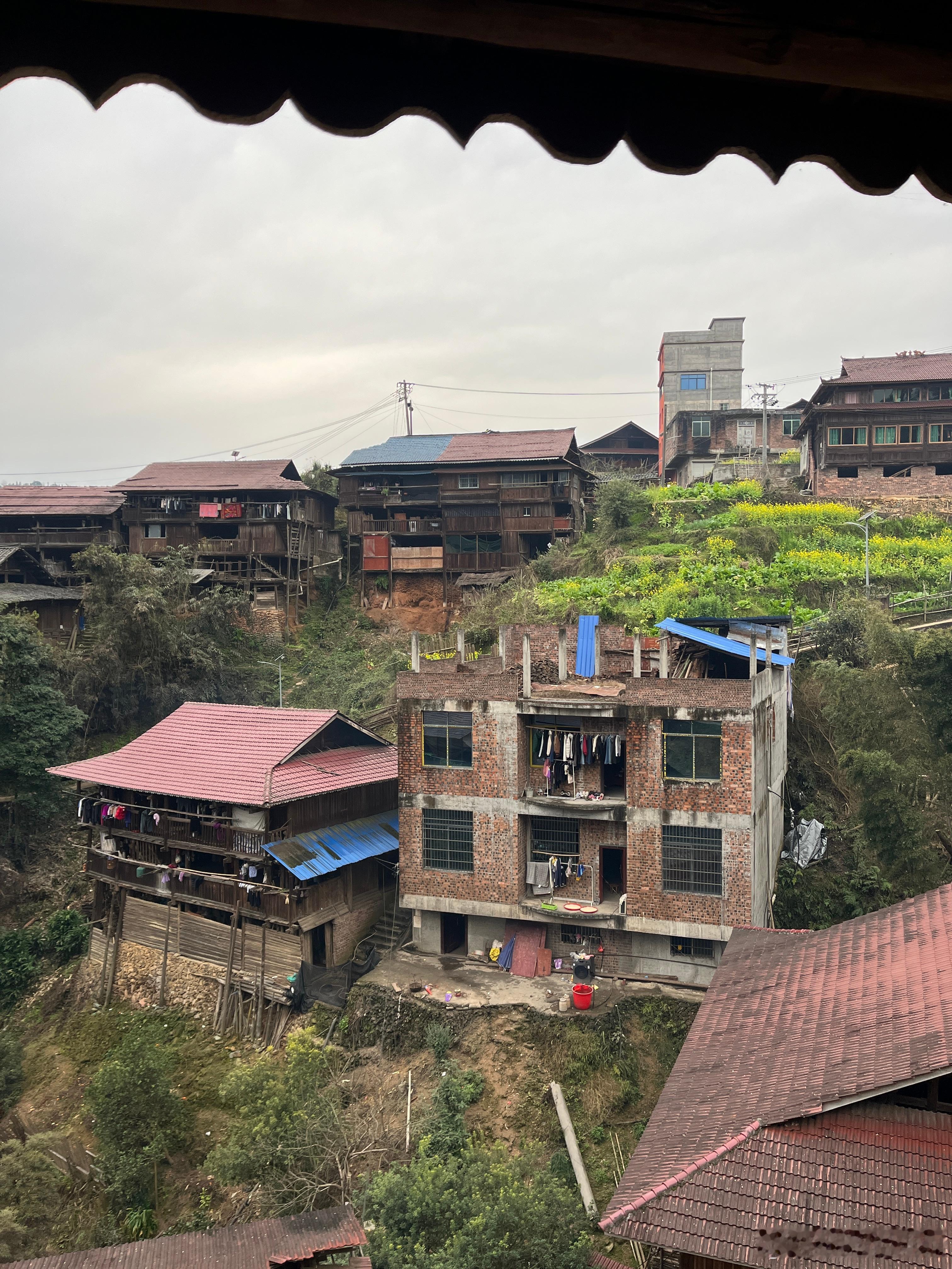 今天早上没有雾，暖多了。王一博点赞苏翊鸣冬奥会夺冠