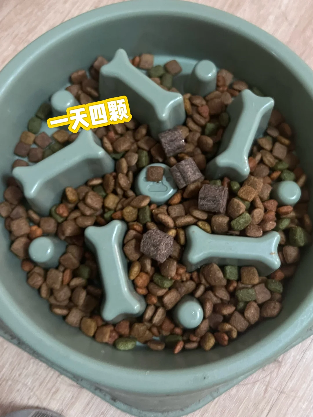 喜欢蹦蹦跳跳的小狗 软骨素要安排起来了